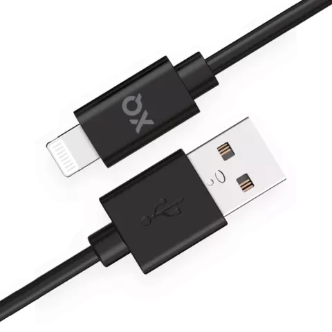 XQISIT Charge &amp; Sync MFi Lightning auf USB-A 2.0 100 cm - Schwarz