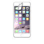 Xqisit Displayschutzfolie iPhone 6 Plus 6s Plus - Transparent