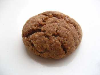 App van de week: Rollende Pepernoot